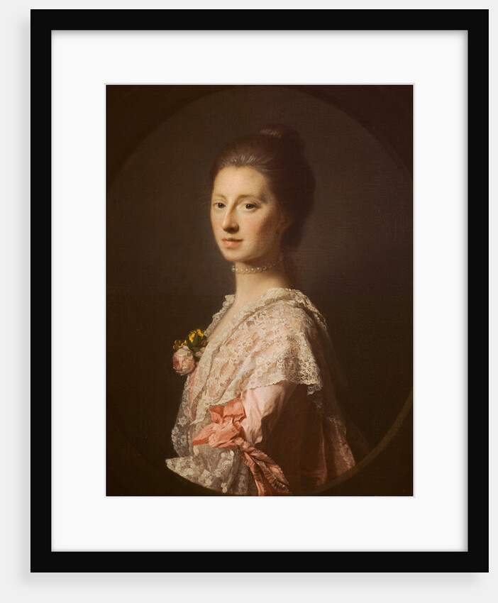 Mrs Anna Bruce of Arnot (died 1810) by Allan Ramsay